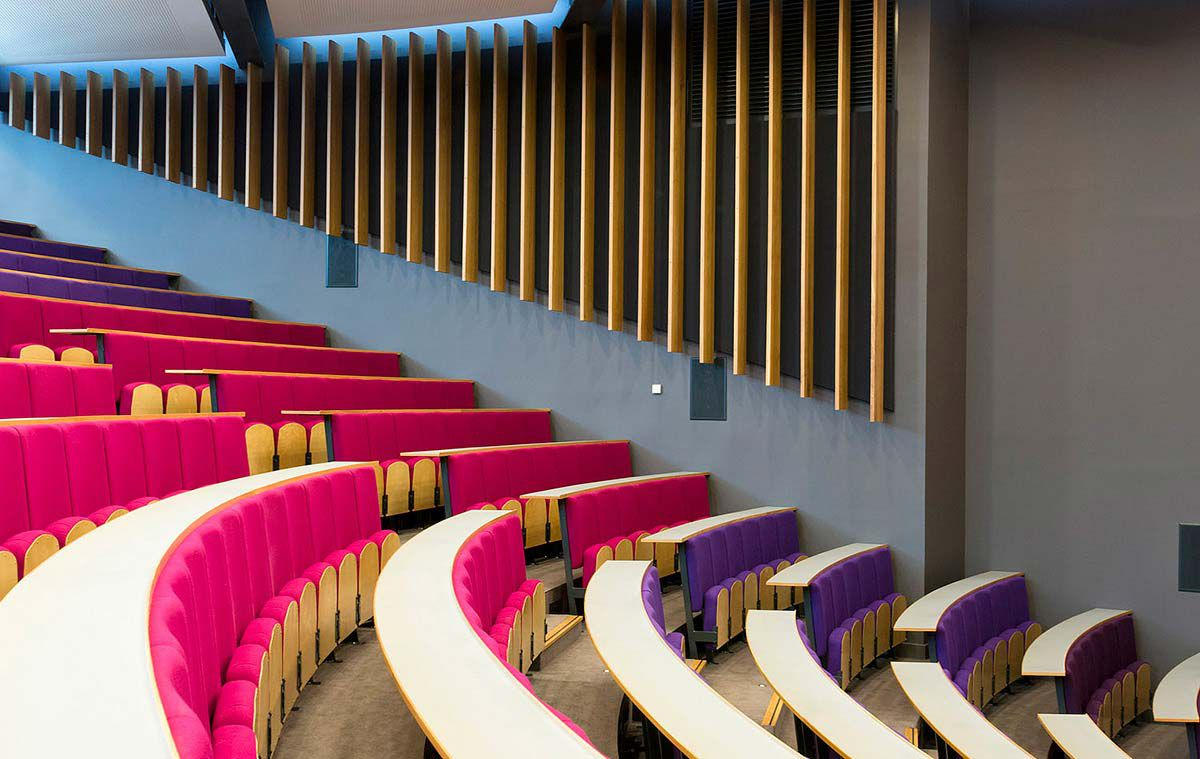 Timber fin acoustic treatment installed in a tiered auditorium